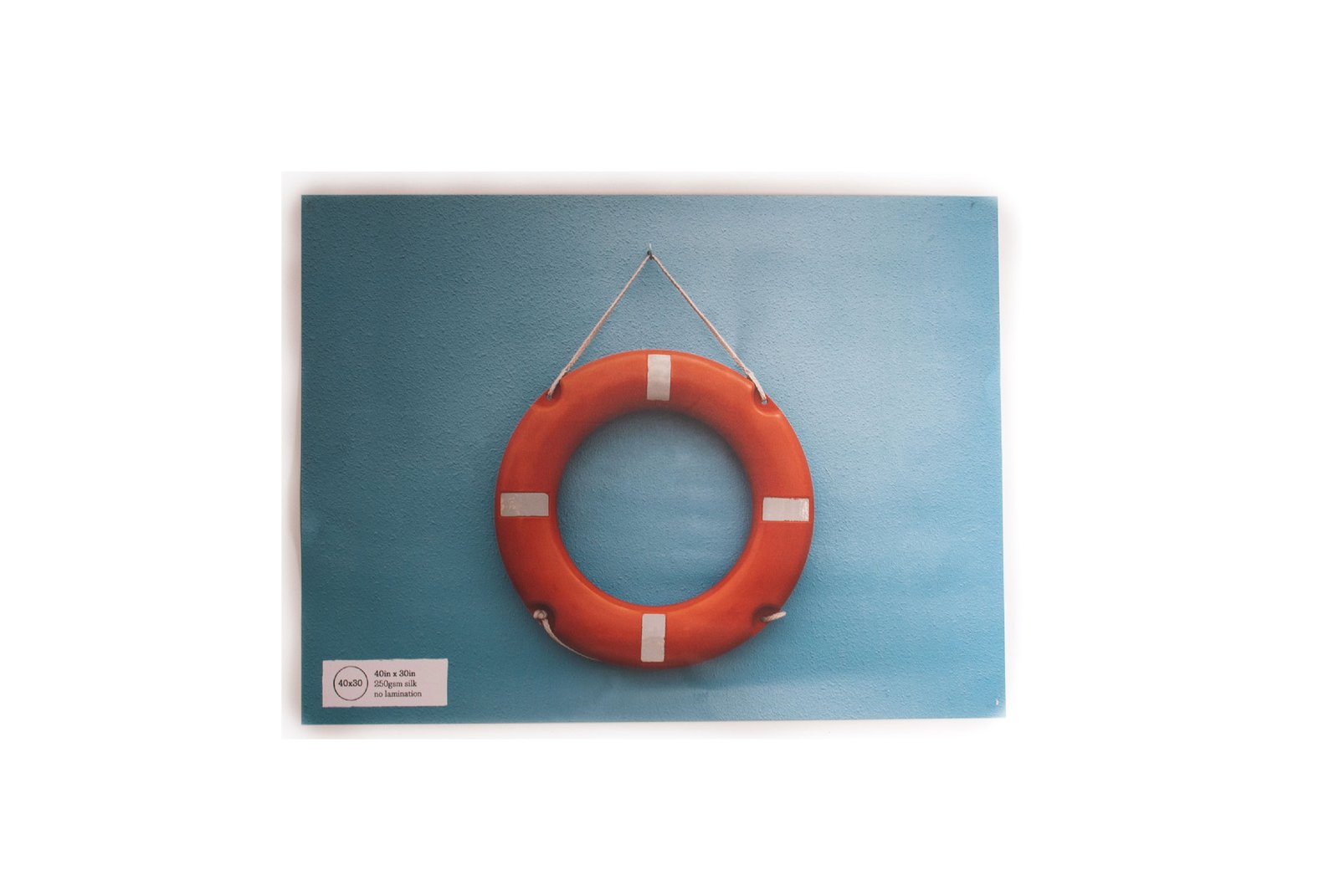 Canvas Prints